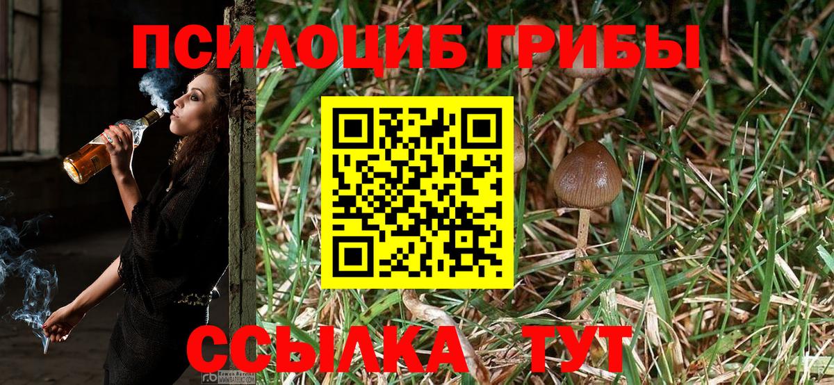Псилоцибиновые грибы Magic Shrooms Заволжье