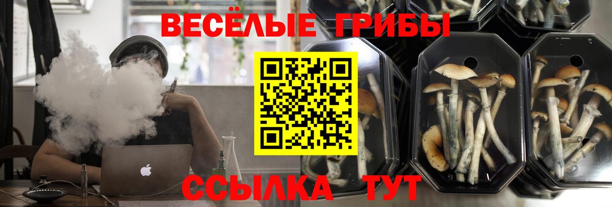 Галлюциногенные грибы Magic Shrooms  Вход с VPN  Заволжье 